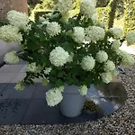 Agnetenhoeve 3* Overasselt
