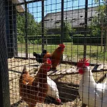 Agnetenhoeve