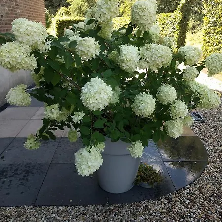 Agnetenhoeve 3* Overasselt