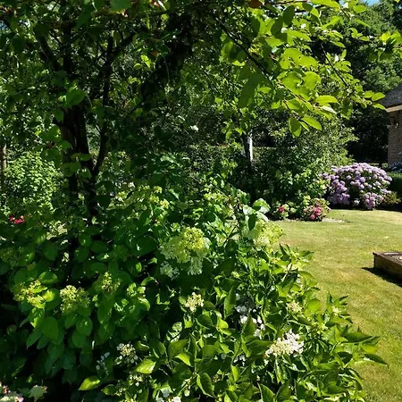 Agnetenhoeve Bed & Breakfast