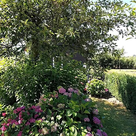 Bed & Breakfast Agnetenhoeve 3*