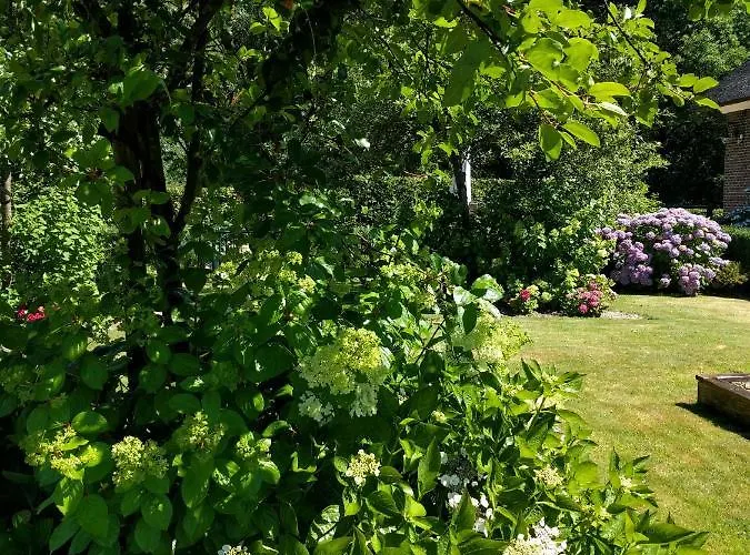 Agnetenhoeve Bed & Breakfast